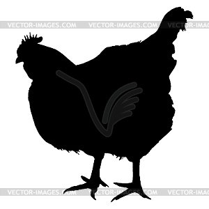 Silhouette of chicken - vector clip art