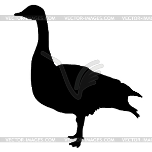 Silhouette of goose - vector clip art
