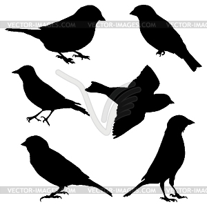 Set of sparrows - vector clip art