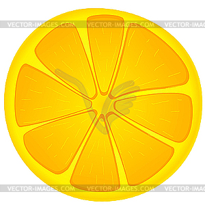 Image slices of orange - vector clip art