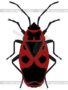 Жук солдат (Pyrrhocoris apterus) на белый - изображение в векторном формате