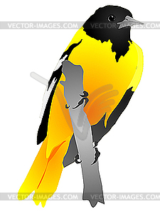 Yellow bird sitting on branch - vector image