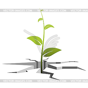 Germ, which grows out of cracks in the - vector clipart