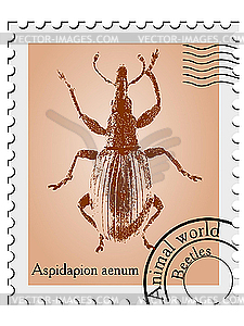 Stamp with beetle - color vector clipart