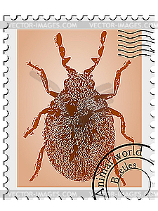 Stamp with picture of insect - vector clipart