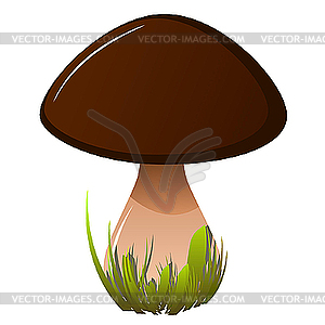 Boletus. - vector image