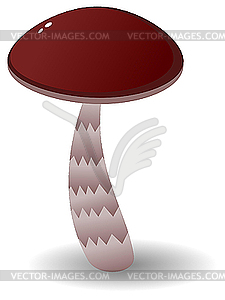 Orange-cup boletus. - vector clipart