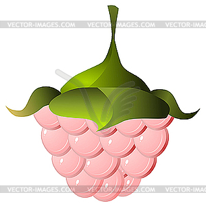 Raspberries - vector image