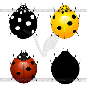 Set ladybirds - vector clipart