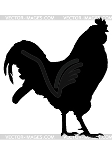 Silhouette of rooster - vector clip art