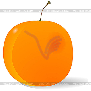 Peach - vector clipart