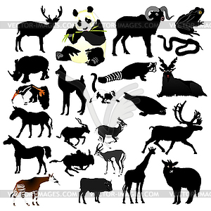 Коллекция животных - векторизованное изображение клипарта