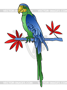 Parrot - vector clip art