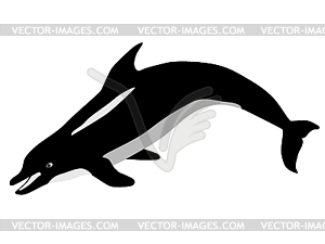 Dolphin - vector image