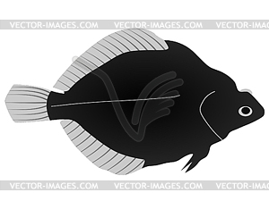 Flounder - vector image