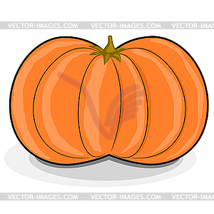 Cartoon pumpkin - vector image