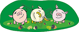Pigs - vector image