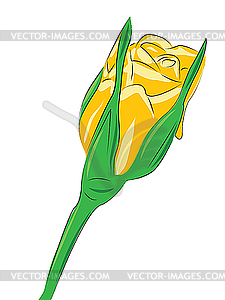 Flower rose - vector clip art