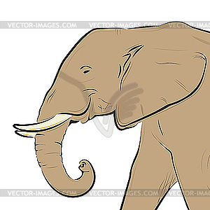 Elephant head drawing - vector clipart