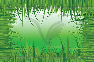 Зеленый луг в свежих кадров травы - графика в векторном формате