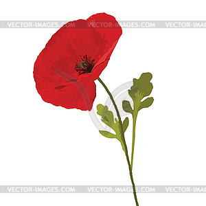 Poppy red - vector clipart / vector image