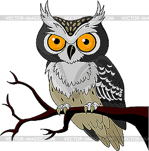 night owl clip art