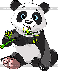 Panda eating bamboo - vector image