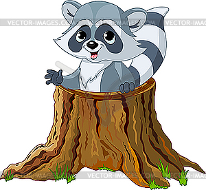 Raccoon in tree stump - vector image