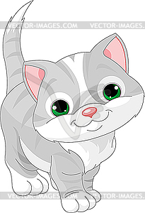 Cute gray kitten - vector clipart