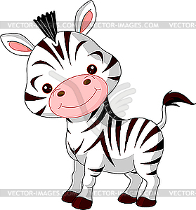 Funny Zebra - vector clip art