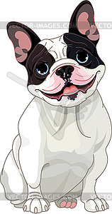 French bulldog - vector image