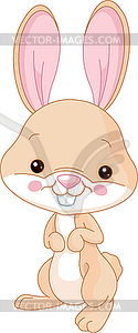 Funny Bunny - vector clip art