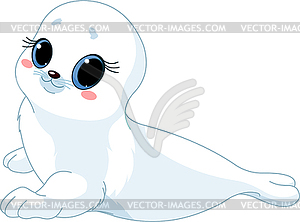 Baby seal - vector clip art