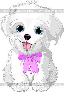 White lap-dog - vector image