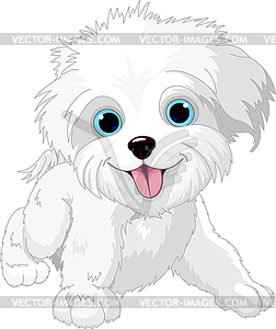 Playful lap-dog - royalty-free vector image