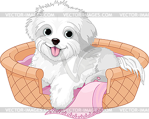 White fluffy dog - vector clip art