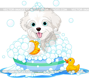 Fluffy dog having bath - vector clip art
