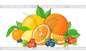 Set of fruits - vector image