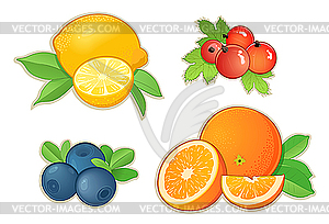 Fruits - royalty-free vector image