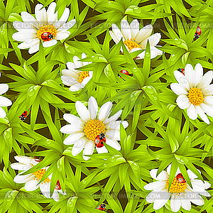 Seamless background with camomiles and ladybugs - vector clipart