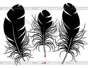 Feather silhouette - vector clip art