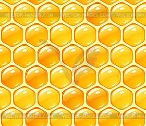 Honey background - vector image