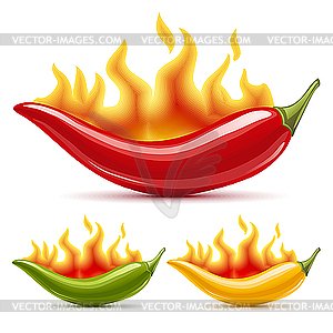 Green, yellow and red hot chili peppers - vector image