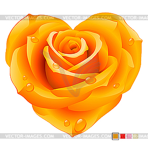 Orange rose in the shape of heart - vector clipart