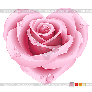 Pink rose in the shape of heart - vector image