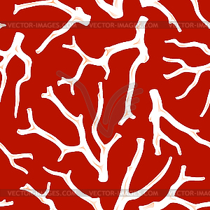 Coral seamless texture - vector image