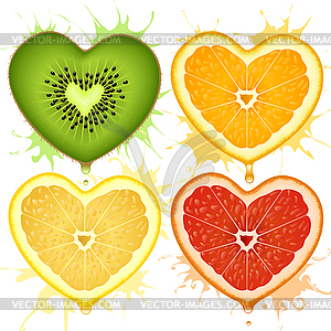 Citrus hearts - vector clipart