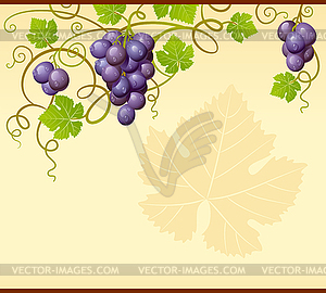 Grape background - vector clip art