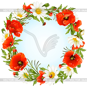 Camomile and poppy frame in the shape of circle - vector image