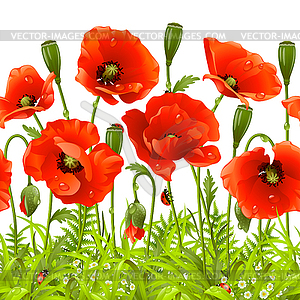 Red flowers and green grass - vector EPS clipart